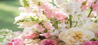Toko Bunga Online Terlengkap: Temukan Keindahan Bunga-bunga Cantik yang Membuat Hati Terpukau