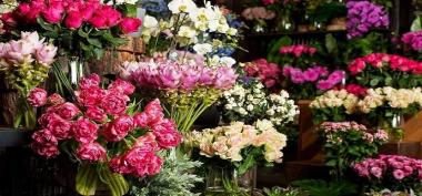 Florist Kediri Jual Berbagai Macam Karangan Bunga Terlengkap dan Murah