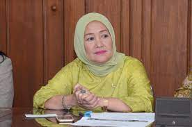 Sosok Dwita Ria Gunadi, Wakil Lampung II yang Aktif Suarakan Isu Sosial