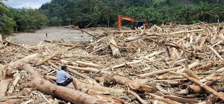 18 Januari 2026: Anies Ungkap Bencana Sumatra Dipicu 97% Deforestasi Legal, 20 Januari 2026 Prabowo Merespons Cabut Izin 28 Perusahaan