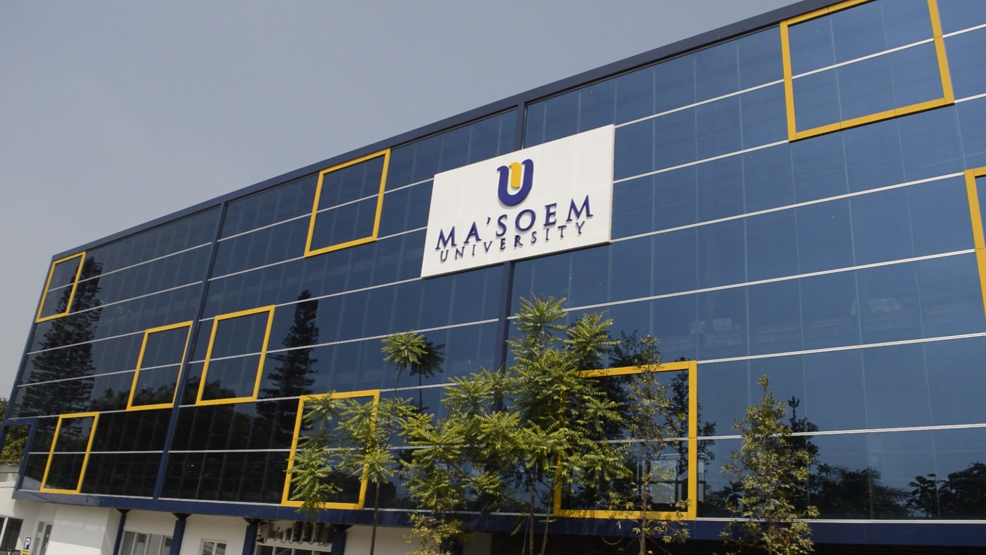 Kampus Impian atau Jebakan? Cerita Jujur Mahasiswa Baru