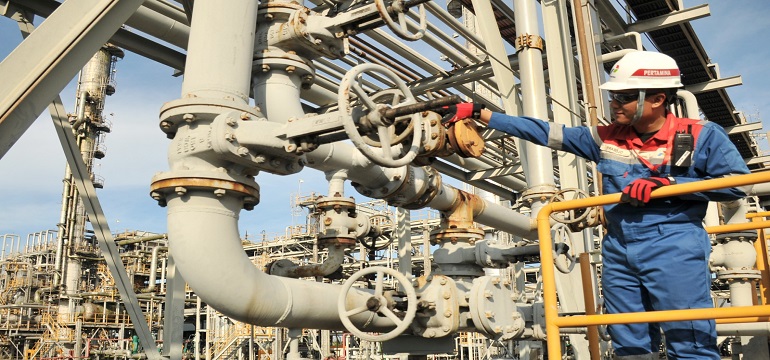 Mengenal Decarbonization Program PGN Saka Solusi Dahsyat dalam Melawan Perubahan Iklim