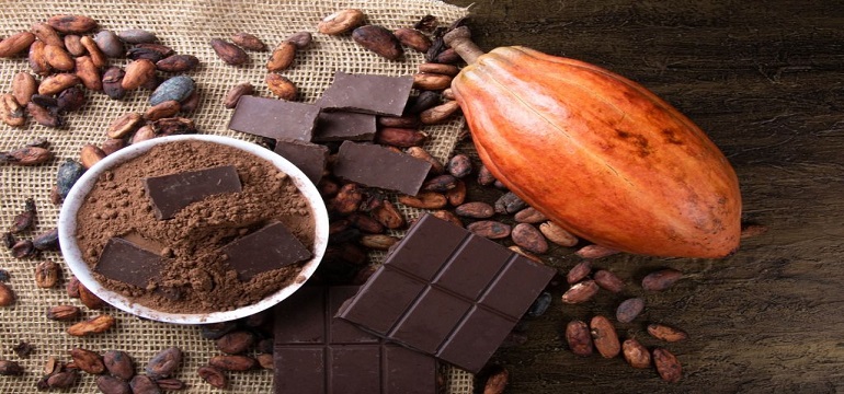 Fakta Unik Tentang Coklat yang Belum Banyak Diketahui