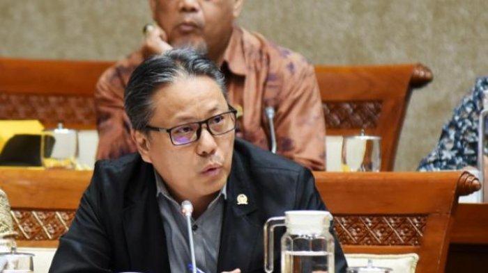 Profil Karier Dolfie: Dari Akademisi ke Parlemen, Konsisten di Bidang Ekonomi